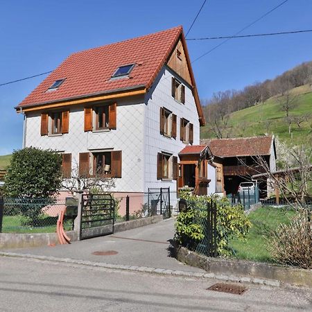 Spacieux Et Confortables Gites A Proximite Randonnees, Lacs, Ski Nature Sondernach Zewnętrze zdjęcie