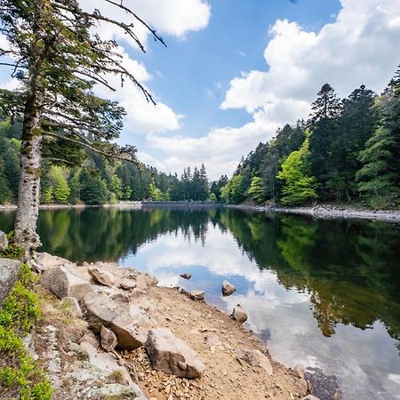 Spacieux Et Confortables Gites A Proximite Randonnees, Lacs, Ski Nature Sondernach Zewnętrze zdjęcie