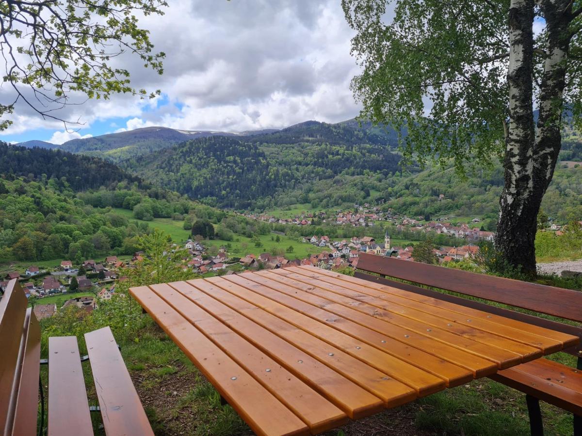 Spacieux Et Confortables Gites A Proximite Randonnees, Lacs, Ski Nature Sondernach Zewnętrze zdjęcie