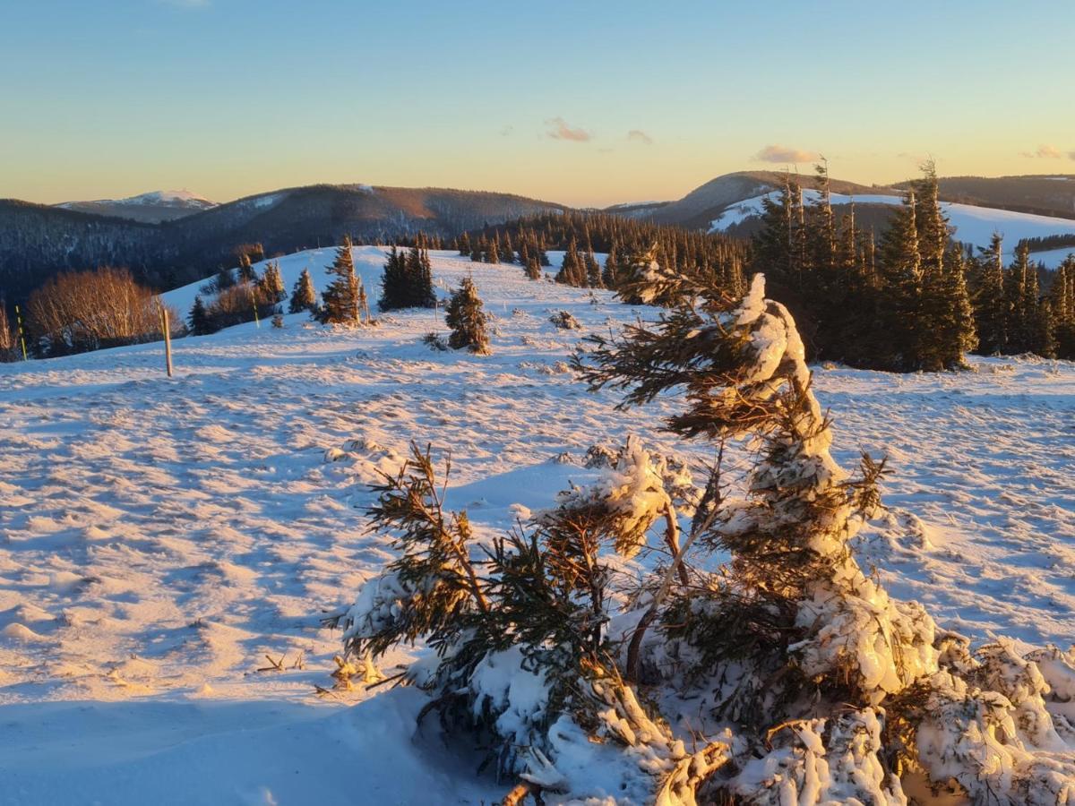 Spacieux Et Confortables Gites A Proximite Randonnees, Lacs, Ski Nature Sondernach Zewnętrze zdjęcie