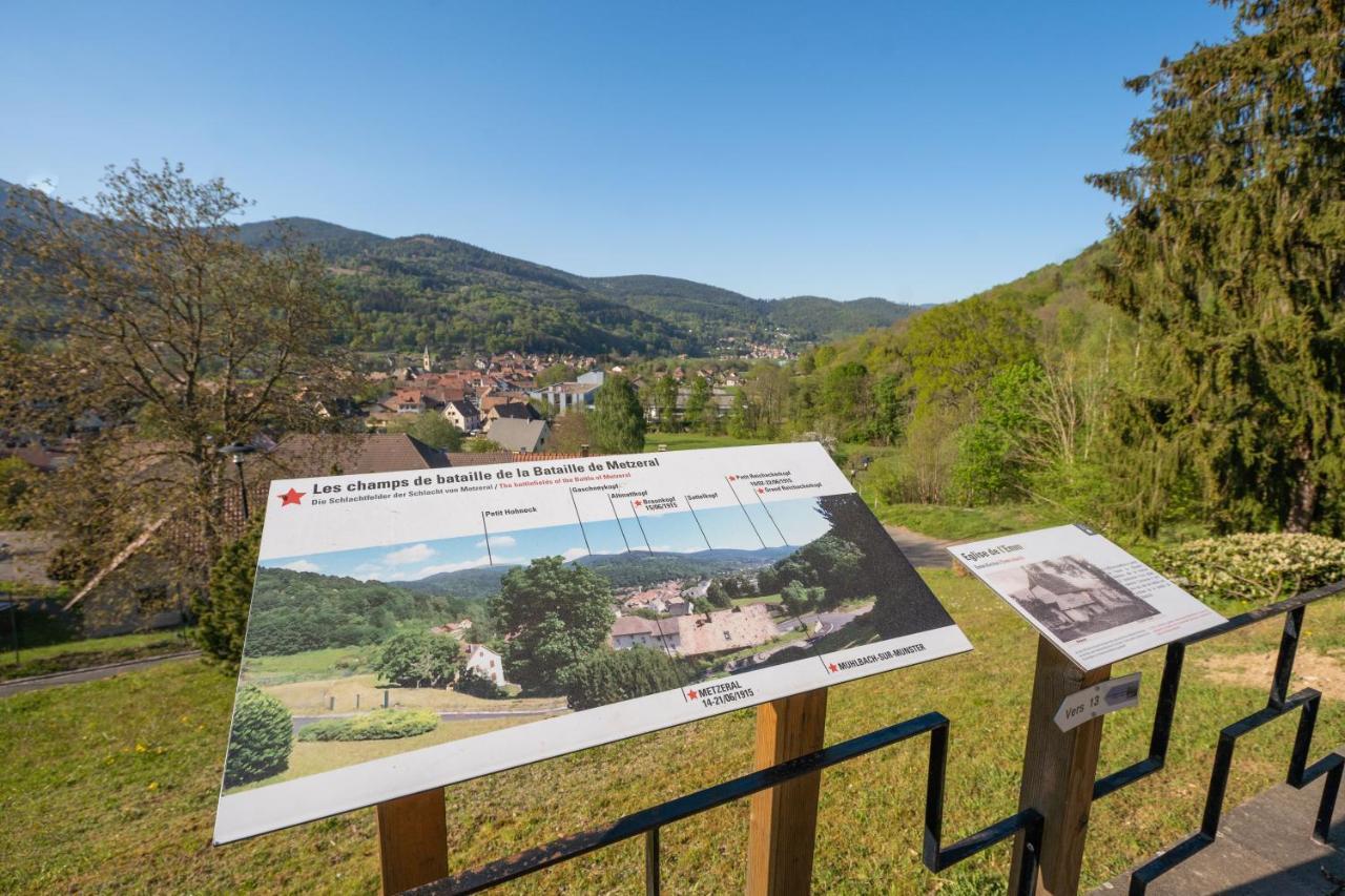 Spacieux Et Confortables Gites A Proximite Randonnees, Lacs, Ski Nature Sondernach Zewnętrze zdjęcie