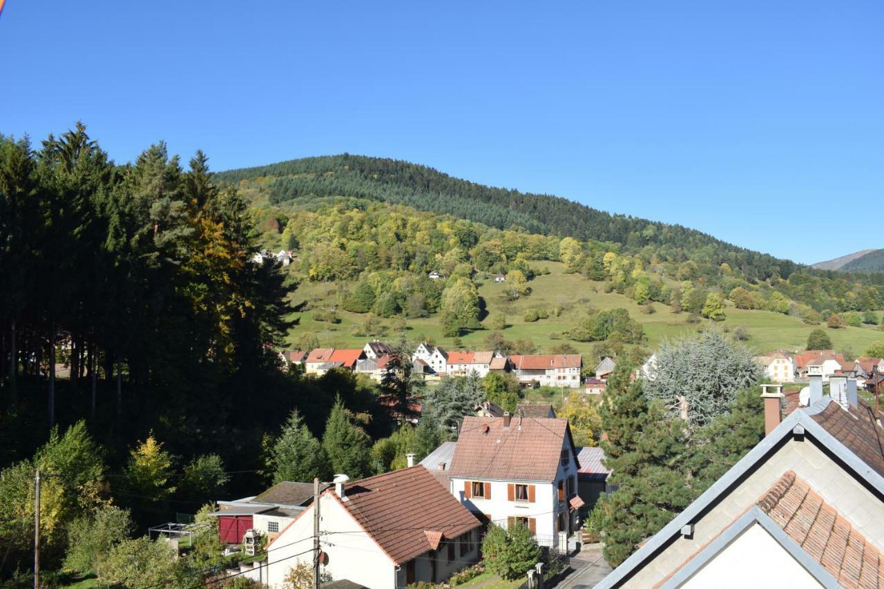 Spacieux Et Confortables Gites A Proximite Randonnees, Lacs, Ski Nature Sondernach Zewnętrze zdjęcie