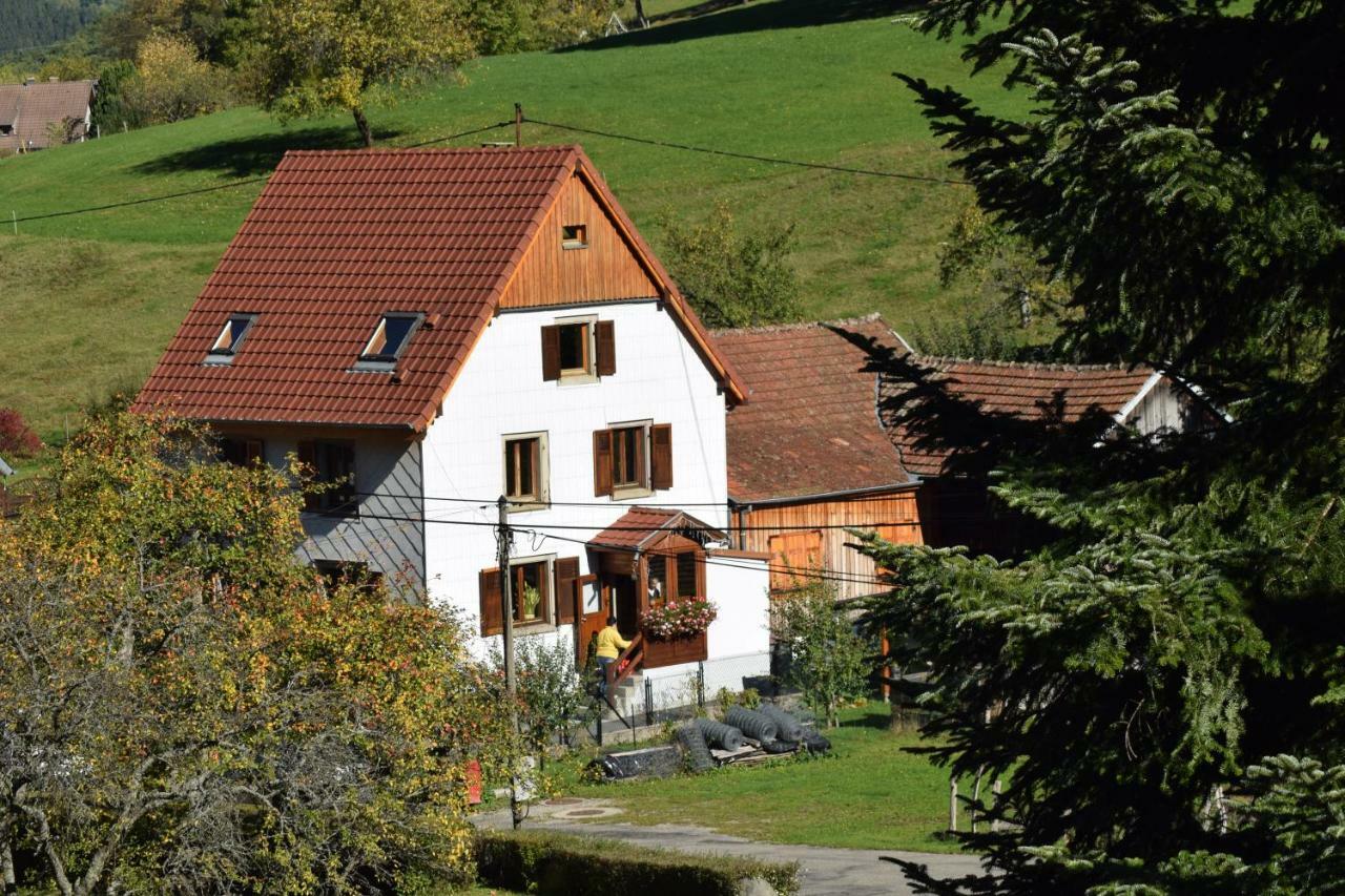 Spacieux Et Confortables Gites A Proximite Randonnees, Lacs, Ski Nature Sondernach Zewnętrze zdjęcie