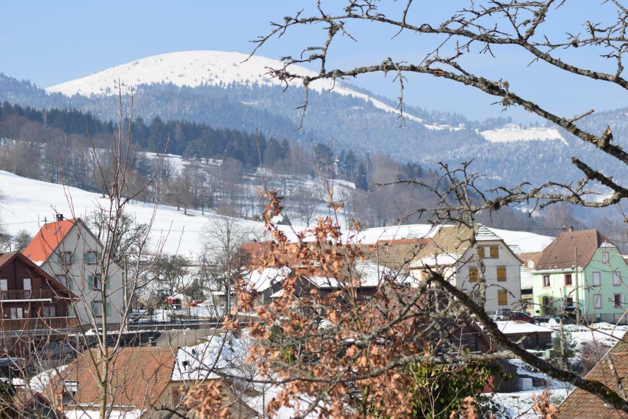 Spacieux Et Confortables Gites A Proximite Randonnees, Lacs, Ski Nature Sondernach Zewnętrze zdjęcie
