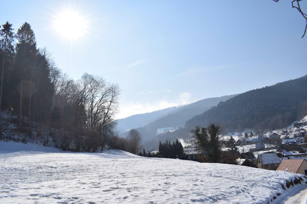Spacieux Et Confortables Gites A Proximite Randonnees, Lacs, Ski Nature Sondernach Zewnętrze zdjęcie