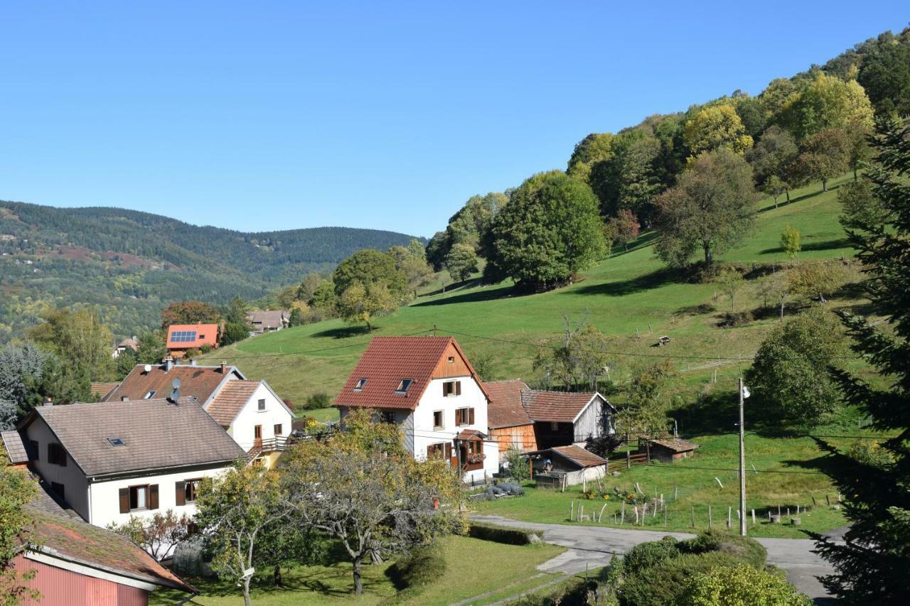 Spacieux Et Confortables Gites A Proximite Randonnees, Lacs, Ski Nature Sondernach Zewnętrze zdjęcie